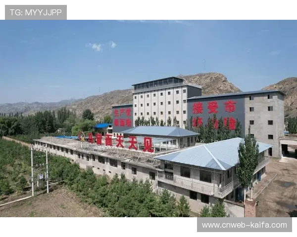 鄂托克前旗目标打造“排球特色小镇”，推动乡村振兴